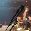 imageShure KSM8 Dualdyne Vocal Microphone  Cardioid Dynamic Mic with 2 Ultra Thin Diaphragms and Reverse Airflow Technology for Unmatched Control of Proximity Effect Presence Peaks and Bleed  NickelBlack
