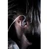 imageShure SE215 Special Edition PRO Wired Earbuds Professional Sound Isolating Earphones Clear with Deep Bass Single Dynamic MicroDriver for Music Gaming ampamp Calls  PurpleClear
