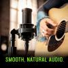 imageShure SM4K Studio Condenser Microphone  XLR Mic for Home Studio Recording Vocals ampamp Instruments with MixReady Sound ampamp AllMetal Construction Black
